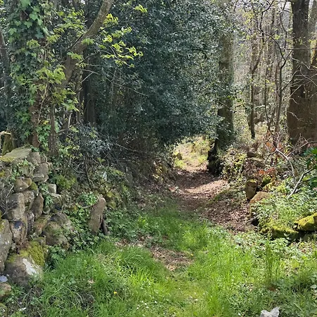 Casa De Robles Cantabria, En El Corazon De Valles Pasiegos Διαμέρισμα Sel de la Carrera
